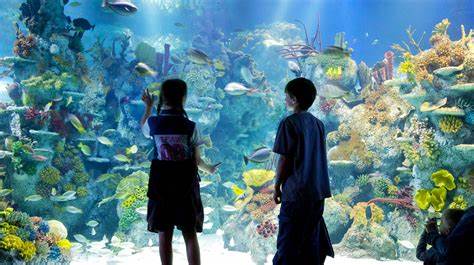 image of Bristol aquarium